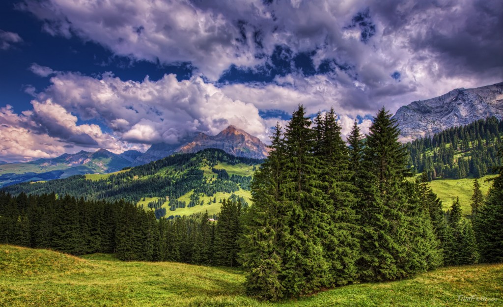 tomfear, hdr, landscape 19.10.13