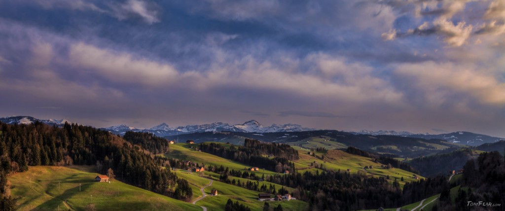 toggenburg